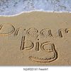 dream.big.usa