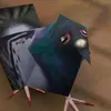 salmoneaffvmicato