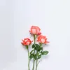 aisharashid555