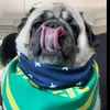 paulmcpug