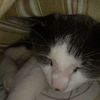 user7sc2cfkm11