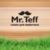 Mr.Teff