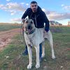 gursel_cevik.27