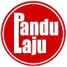 PanduLaju