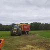 bauerrichtigcool