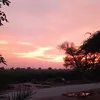 reviewsby_sz