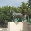 yassine3940
