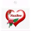 nazbee0312