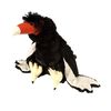 vulturesfeathers