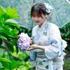 _hong2409_