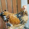 centrafarm