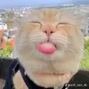 nganguyen_222