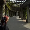 sarenkaxart