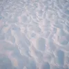 29488392d_