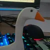 fittungez