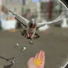 𓅛قمــــ♡ـــر𓆩 R𓆪
