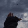 xx_queen52