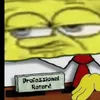 .professionaldumbass0