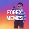 Forex Trading Memes