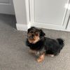 play.with.rambo