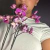 ise_lovely