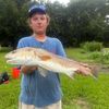satch_krantz