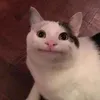 xi_lo0rd
