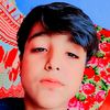 sajidlasharibaloc