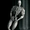 skeleton1926