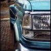 shaggy1234576