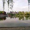 henrynguyen8886