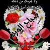 mahmoud_20223