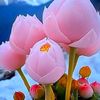 raja.salar823