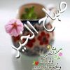 user240515249931