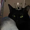 thatblackkitty