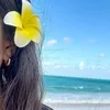 gengmae123