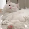 8♡
