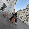 luca_n.h