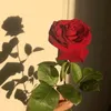 princesse_am22