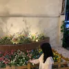annienhii_