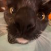gracie.salvadorr