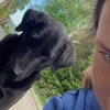 rachelkeddie3