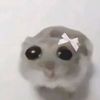 bulbamewchu_