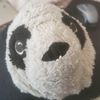 tea.cup.panda