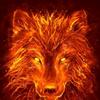 firewolf6969311