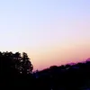 koko_9650