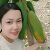dunghuynh566996