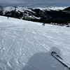 anisaksv01