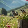 malik_12326