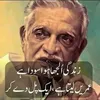naveed8111